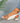 8533b7d0-8247-482a-a8f8-1d9f817561d7-Max-Origin